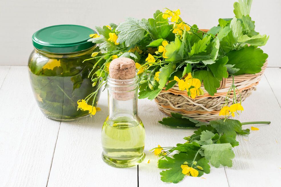 Infusión, aceite e celidonia recén escollida para o fungo das unhas dos pés