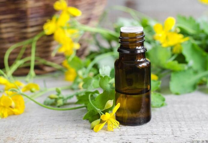 O aceite de celidonia para uso externo contra o fungo das unhas é axeitado para mulleres embarazadas e nenos